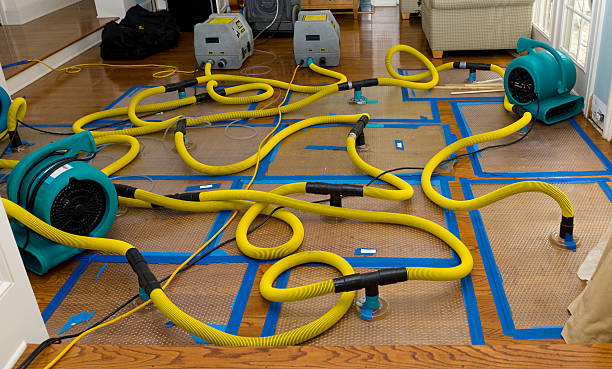 Professional Water Damage Repair technician working in Cache, OK